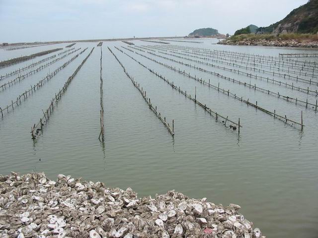 二千沙龙社区-蚝情横琴岛之珠海美食FB二天 9