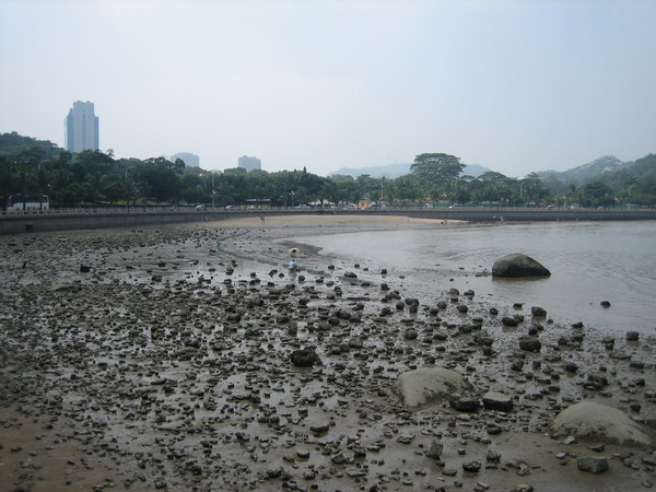 横琴岛人口_珠海横琴岛旅游 珠海第一大岛(2)