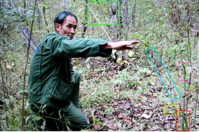 直播间场控文本_场控文本刷屏图案_yy场控刷屏