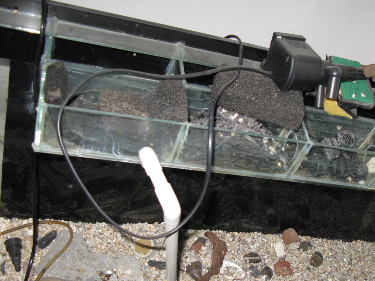 自制鱼缸_自制鱼缸过滤器_自制鱼缸过滤-飞虎