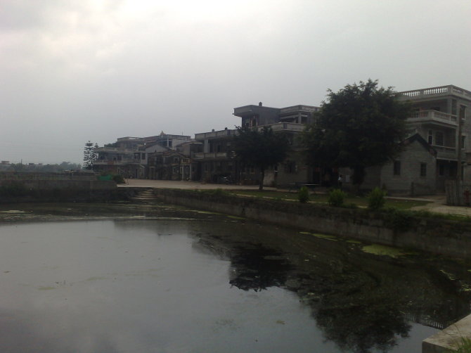 台山哪里吃海鲜_台山下川岛_台山东方豪苑(2)