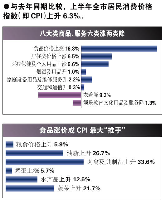gdp增速_2008年上半年gdp