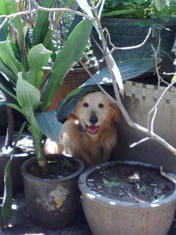 <em>yy场控</em>刷屏文本图案 :<em>yy直播间场控</em>文本:yy场控