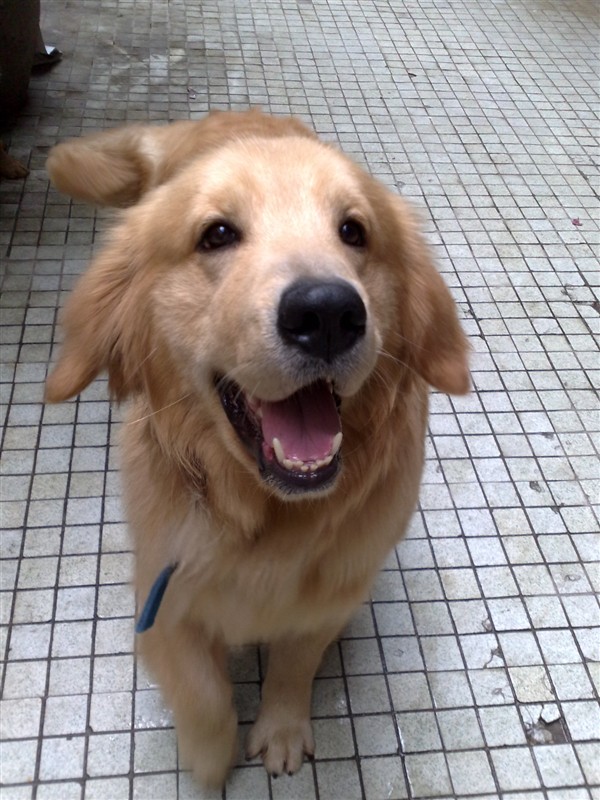 <em>yy场控</em>刷屏文本图案 :<em>yy直播间场控</em>文本:yy场控