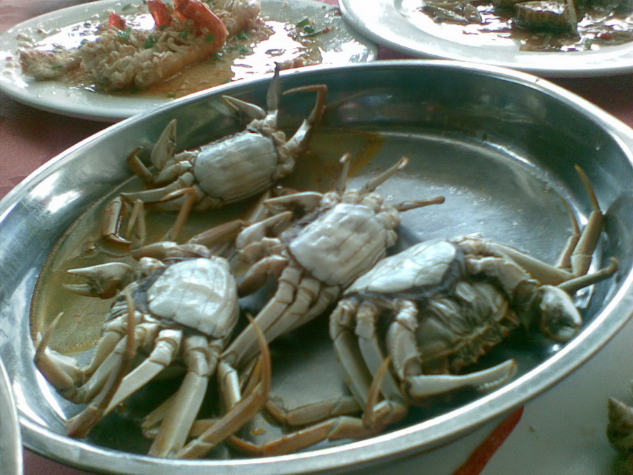珠海白藤湖海鲜_海鲜图片大全_海鲜疙瘩汤