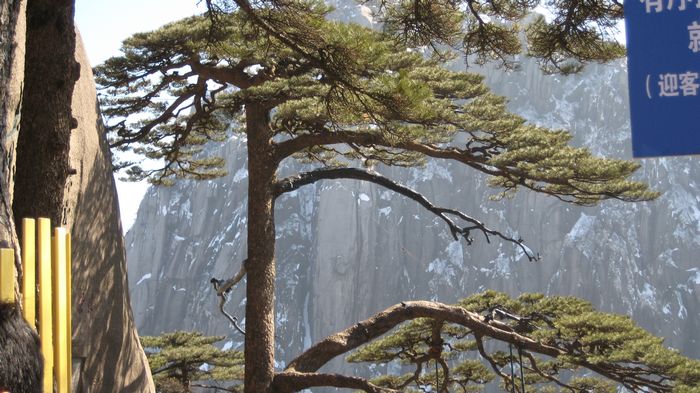 桌面苏州订火车票的电话是多少,火车票网上订