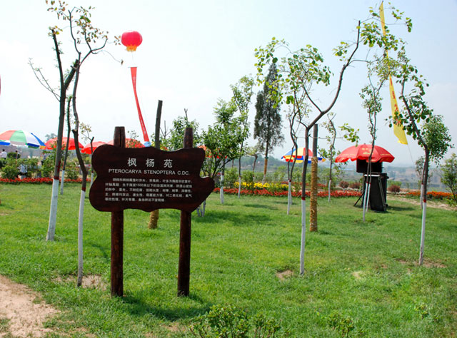 二千沙龙社区-佛山市植物园2014年1月在南海